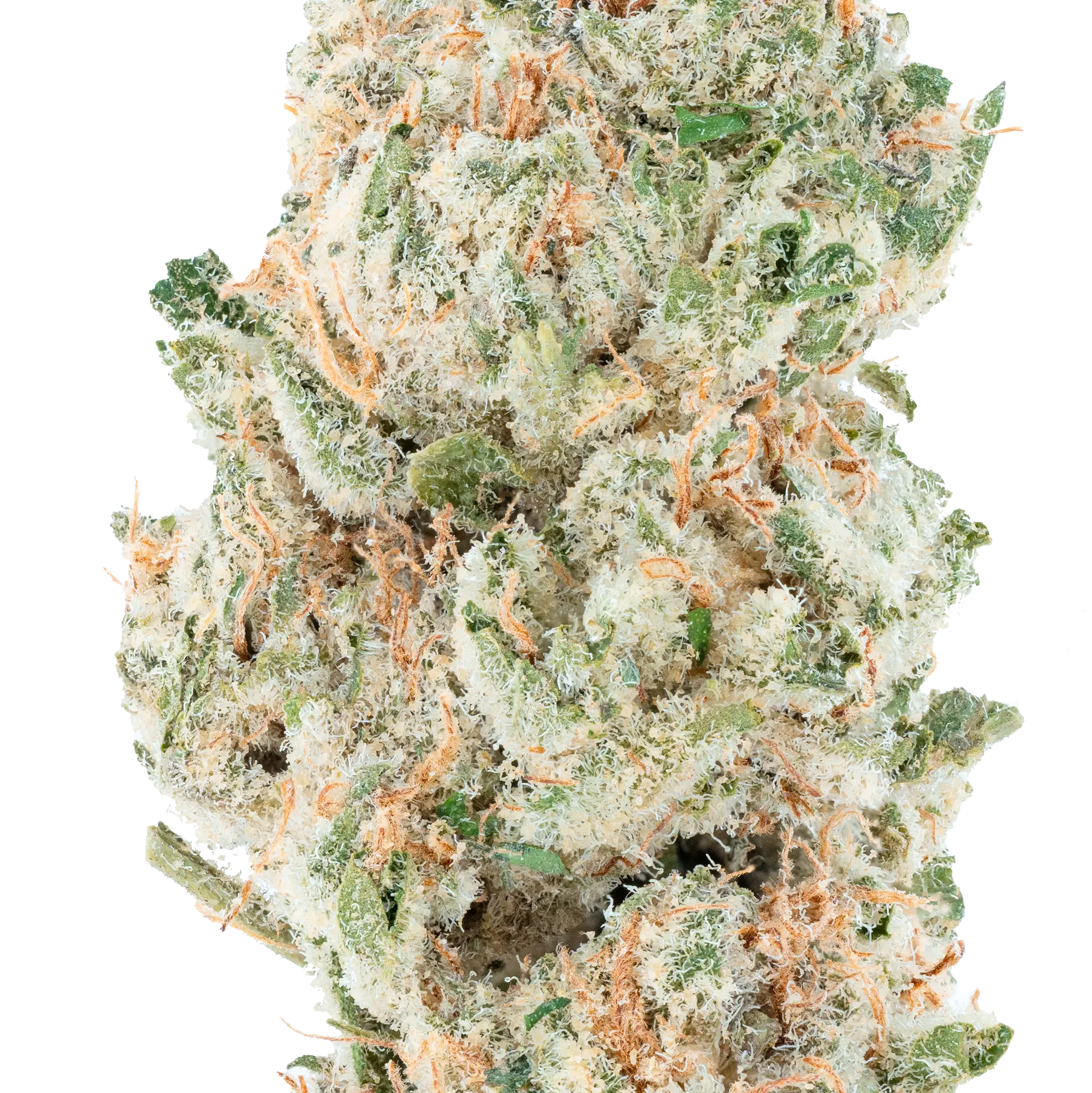 Blue Dream THCa Flower - Image 10
