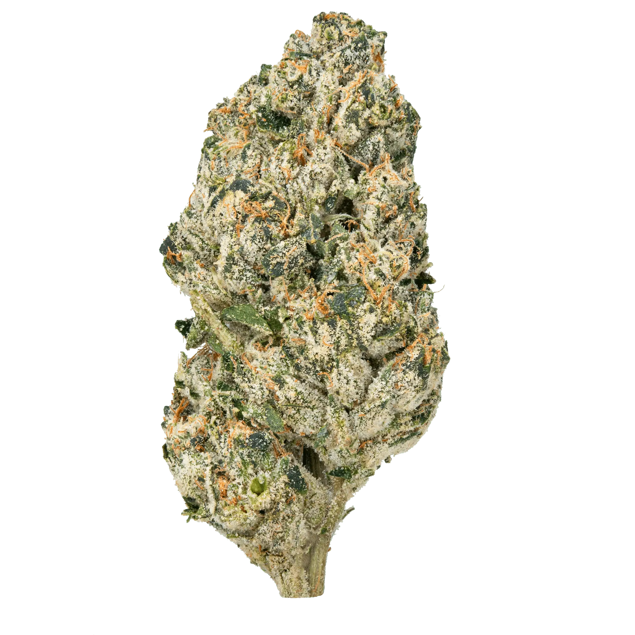 Bulk MixLight THCa Flower - Image 10