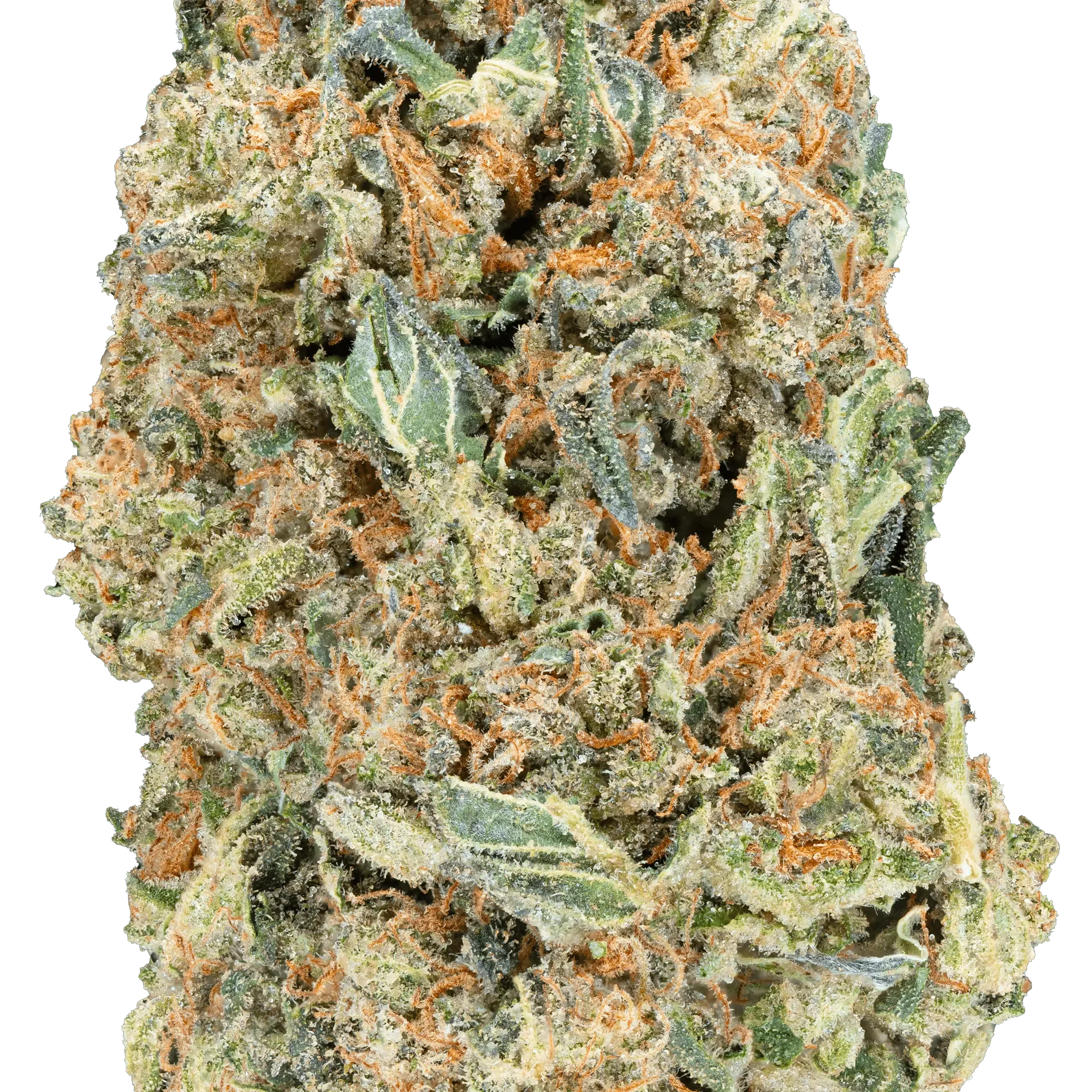 Hella Slumped - Greenhouse THCa Flower - Image 10