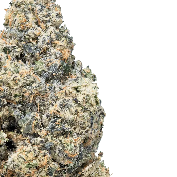 Purple Push Pop- THCa Flower - Image 15