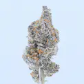 Sour Diesel THCa Flower - Image 9