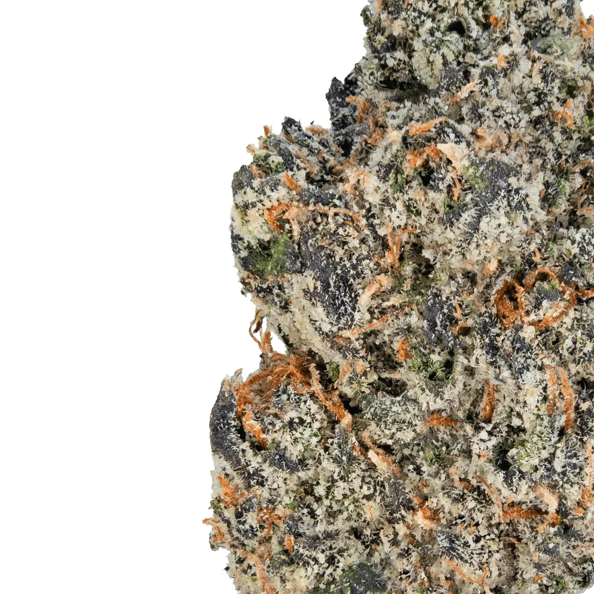 Gelato – THCa Flower - Image 19